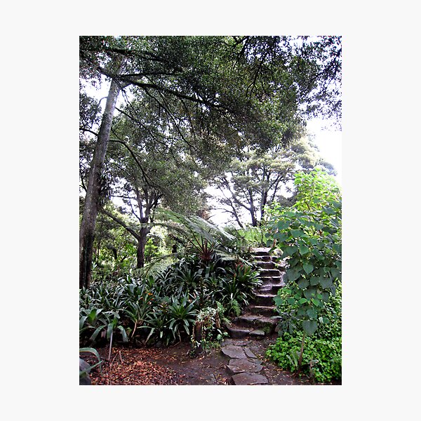 Up the Garden Steps Photographic Print
