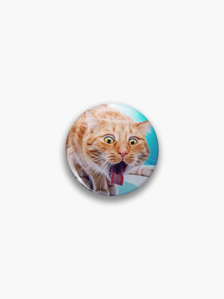 Cat puke kitty puking hairball furball fuzzy fur ball choking cute orange  Kitty party colorful pet calico cat meow litter | Pin