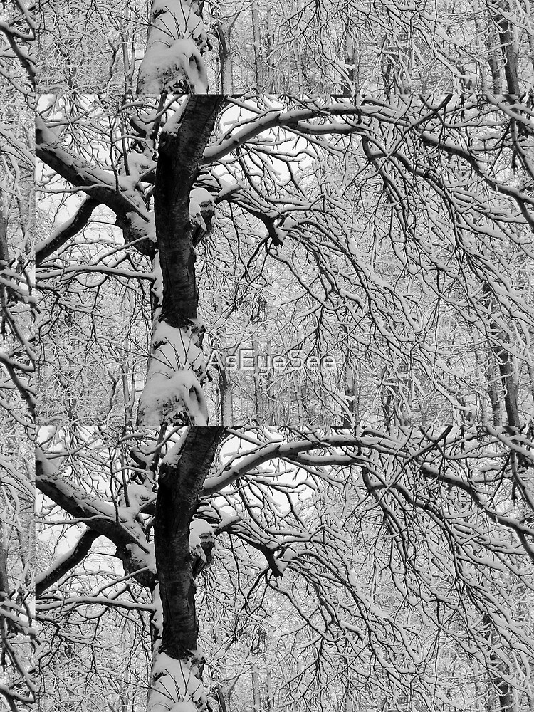 Frozen Forest by AsEyeSee