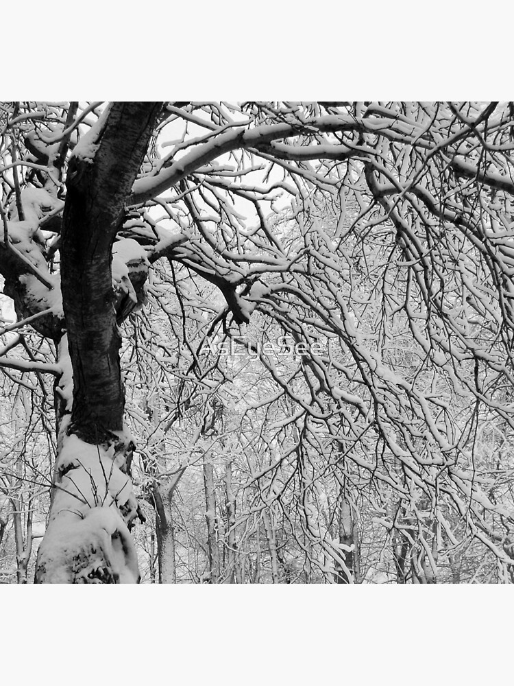 Frozen Forest by AsEyeSee