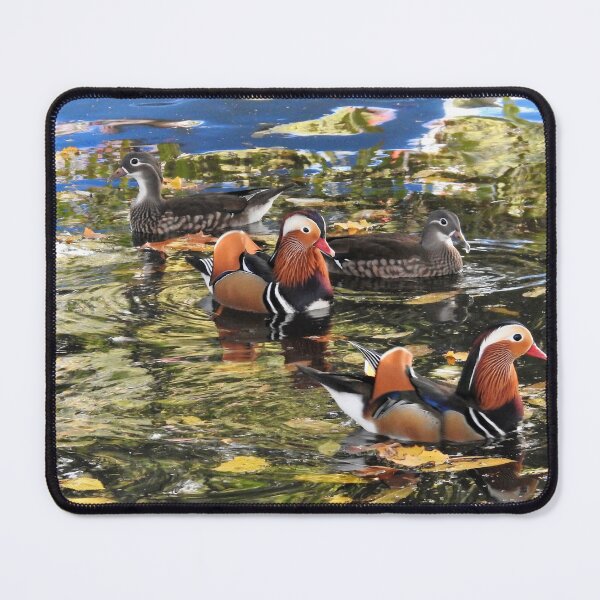 Item preview, Mandarin ducks in leafy reflections designed and sold by TwistedClassics.