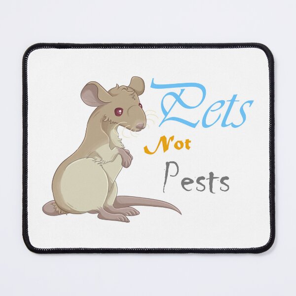 Item preview, Pets not Pests Rat Poster designed and sold by LlGHT-BRlNGER.