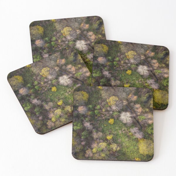 Item preview, Drone view of a forest designed and sold by Leighton Collins.