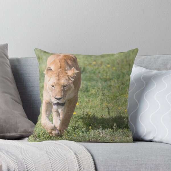 Item preview, Lioness (Panthera leo massaica) designed and sold by Yair Karelic.