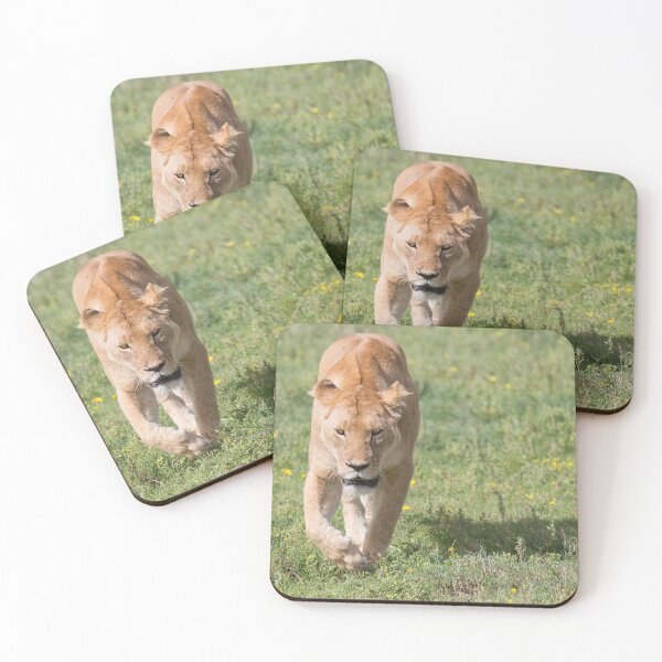 Item preview, Lioness (Panthera leo massaica) designed and sold by Yair Karelic.