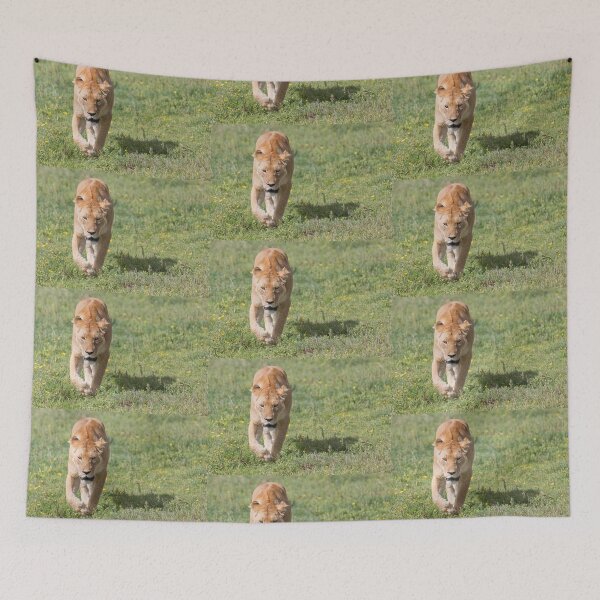 Item preview, Lioness (Panthera leo massaica) designed and sold by Yair Karelic.