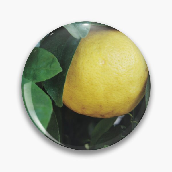 Item preview, Bergamot designed and sold by Nerone.
