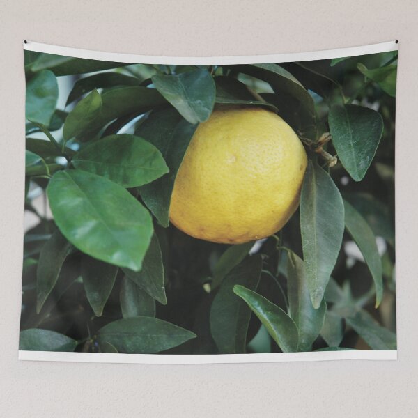 Item preview, Bergamot designed and sold by Nerone.
