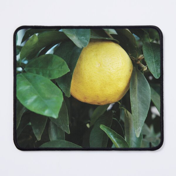 Item preview, Bergamot designed and sold by Nerone.