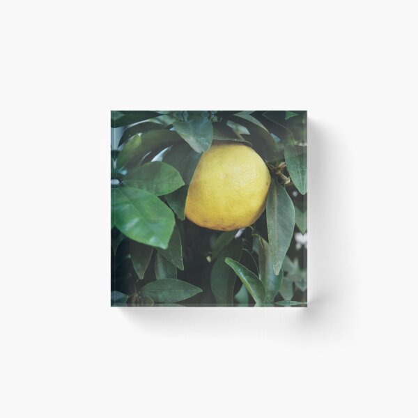 Item preview, Bergamot designed and sold by Nerone.