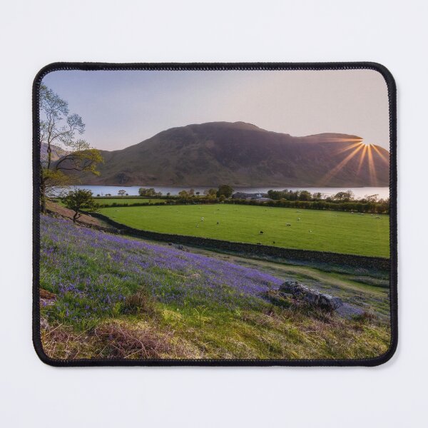 Item preview, Rannerdale Knotts Bluebells designed and sold by derekbeattie.