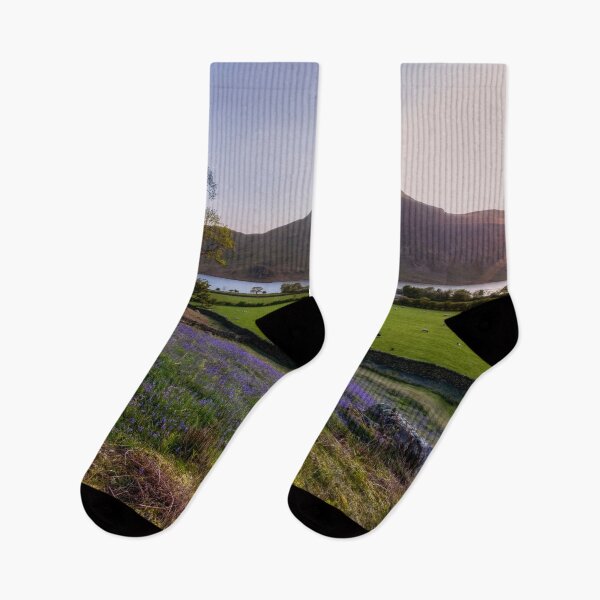 Item preview, Rannerdale Knotts Bluebells designed and sold by derekbeattie.