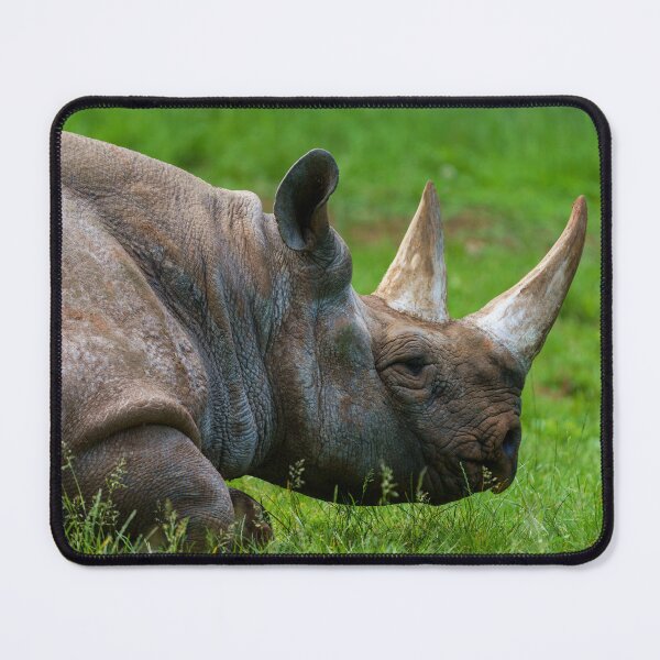 Item preview, Rhino In The Grass designed and sold by rawshutterbug.