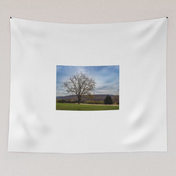 Item preview, Lone Tree designed and sold by Tootalled Photography .