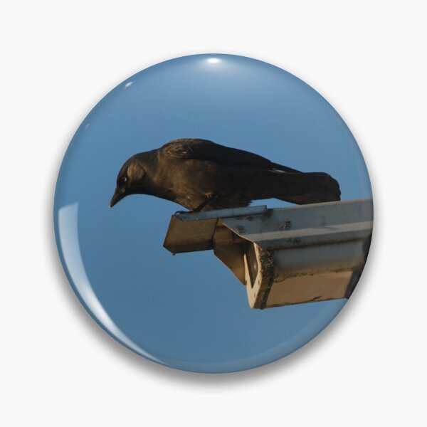Item preview, Crow Security Cameras designed and sold by Itis-Whatitis.
