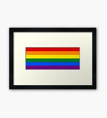 Gay Pride Rainbow Flag Framed Print