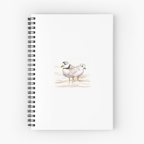 Item preview, Piping Plover designed and sold by willowandfernn.