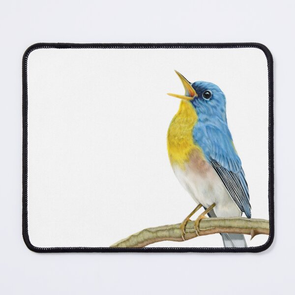 Item preview, Exotic Coloured Bird designed and sold by Art-By-Alessia.