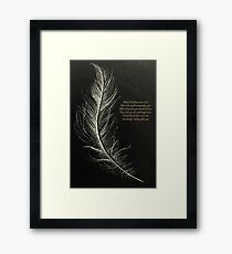 White Feathers Framed Print