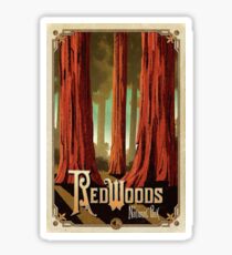 Redwoods National Park California USA Sticker