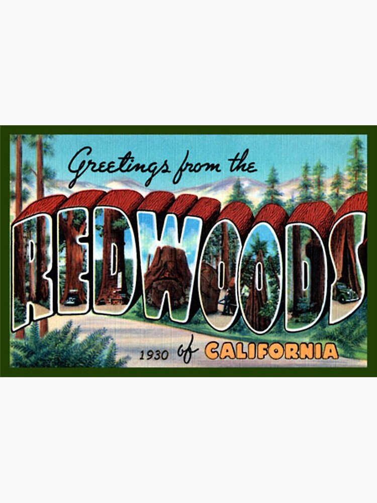 "Greeting From Redwoods National Park California, USA Decal Postcard ...