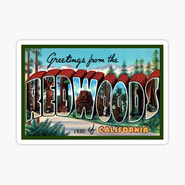 Item preview, Greeting from Redwoods National Park California, USA Decal Postcard designed and sold by MeLikeyTees.
