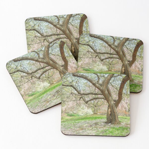 Item preview, Flowering Trees, Highland Park designed and sold by LisaCook1.