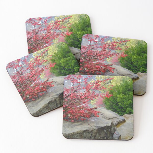 Item preview, Autumn waterfall view at the zoo designed and sold by PowerfulPhotos.