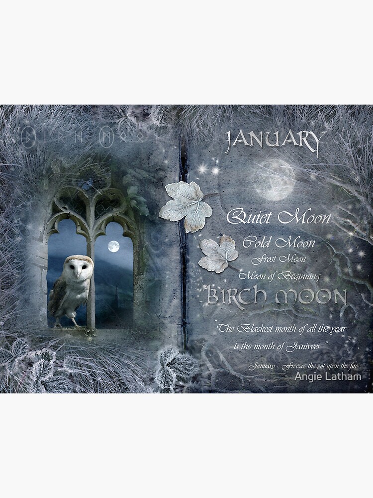 Januray : Birch Moon by AngelaBarnett