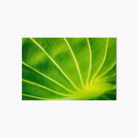 Vivid Green Tropical Leaf Art Board Print