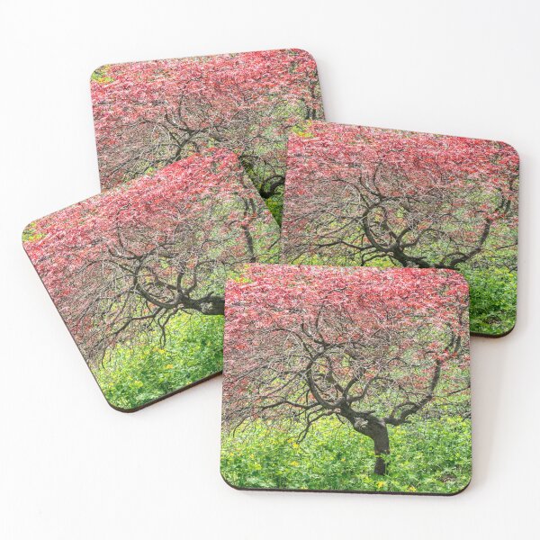 Item preview, Japanese Maple , highland Park designed and sold by LisaCook1.