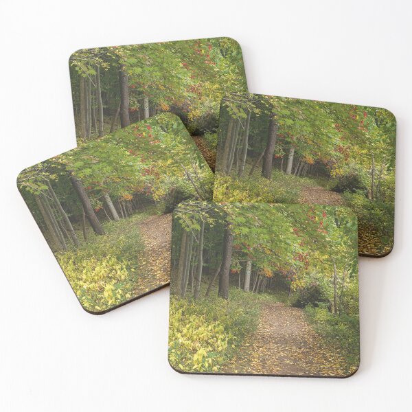 Item preview, Path in the Woods in Mendon Park designed and sold by LisaCook1.
