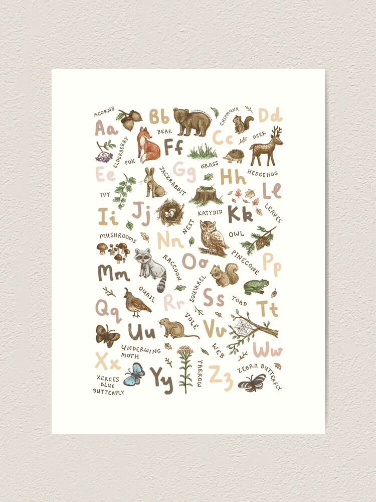 Woodland Animals Alphabet