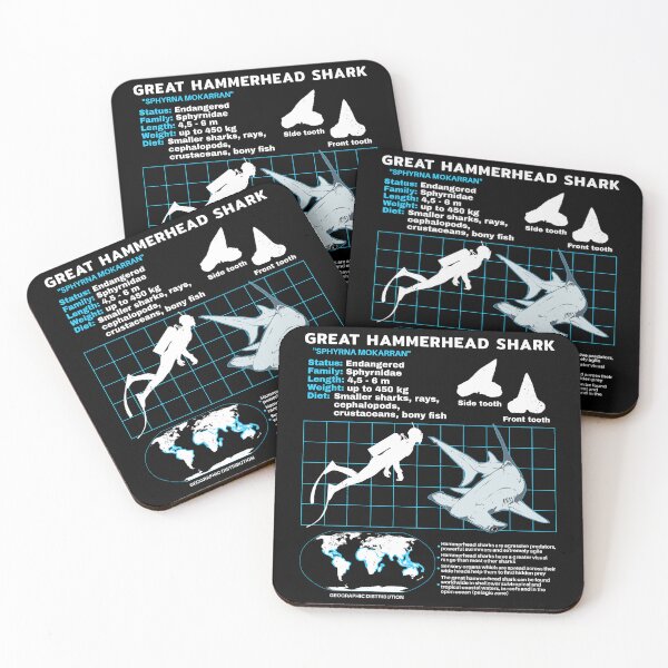 Item preview, Hammerhead shark fact sheet designed and sold by NicGrayGraphic.