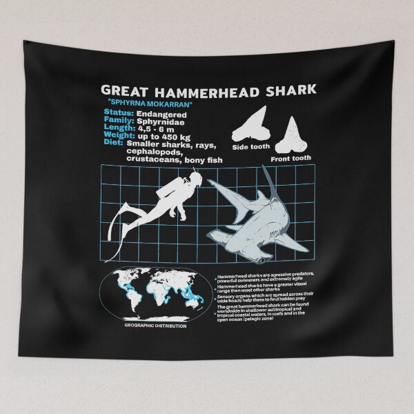 Item preview, Hammerhead shark fact sheet designed and sold by NicGrayGraphic.