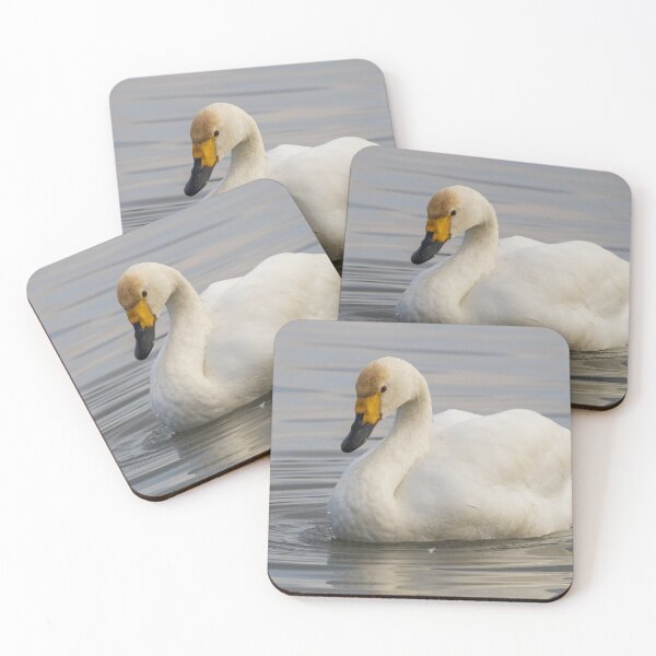 Item preview, Bewick Swan designed and sold by LaurenTucker.