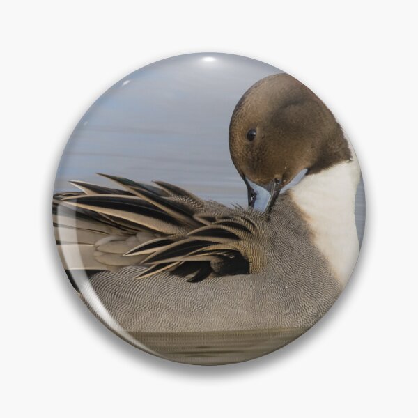 Item preview, Pintail designed and sold by LaurenTucker.