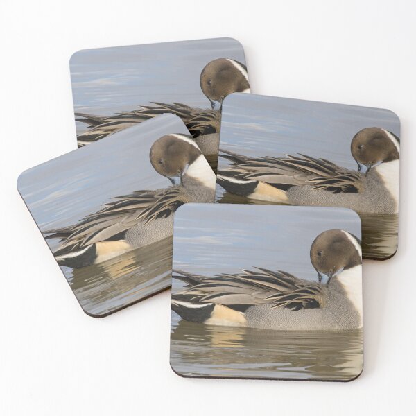 Item preview, Pintail designed and sold by LaurenTucker.
