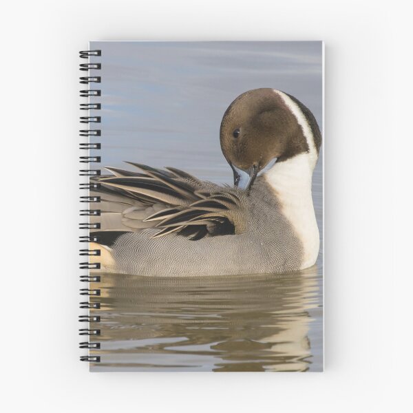 Item preview, Pintail designed and sold by LaurenTucker.