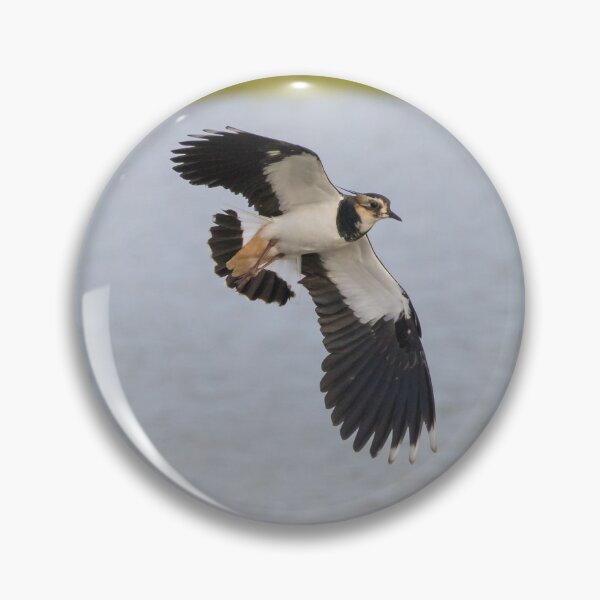 Item preview, Lapwing designed and sold by LaurenTucker.