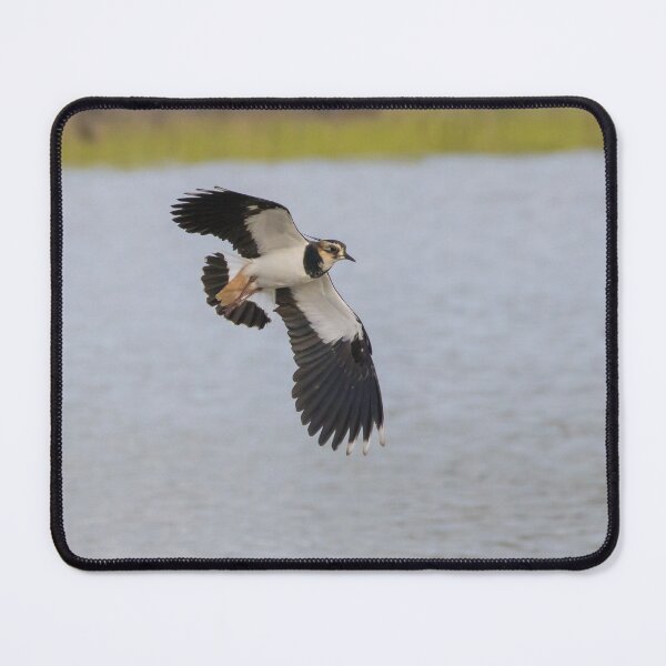 Item preview, Lapwing designed and sold by LaurenTucker.