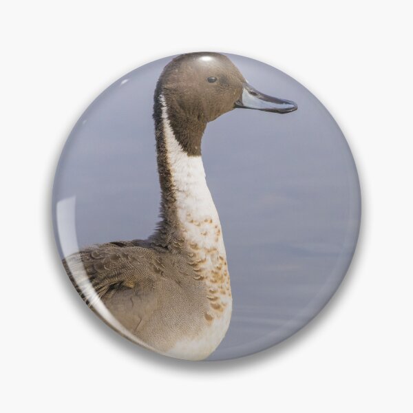 Item preview, Pintail designed and sold by LaurenTucker.