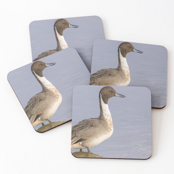 Item preview, Pintail designed and sold by LaurenTucker.