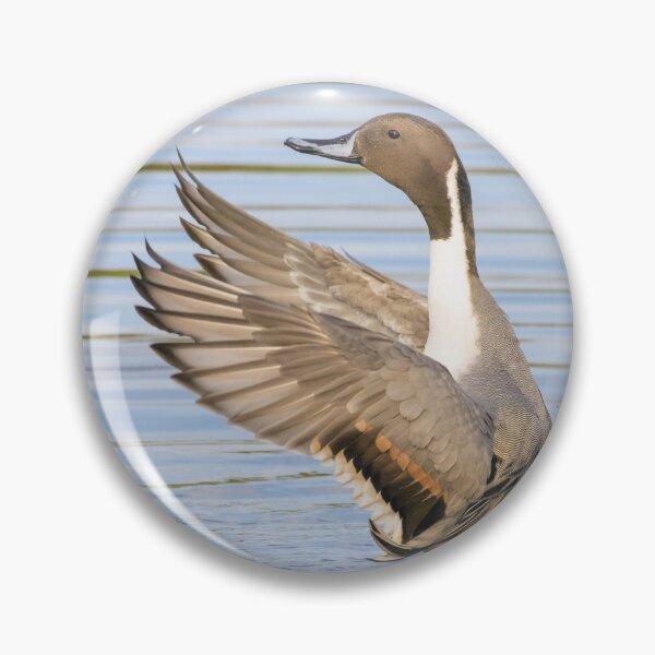 Item preview, Pintail designed and sold by LaurenTucker.