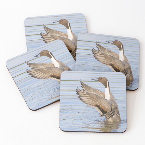 Item preview, Pintail designed and sold by LaurenTucker.