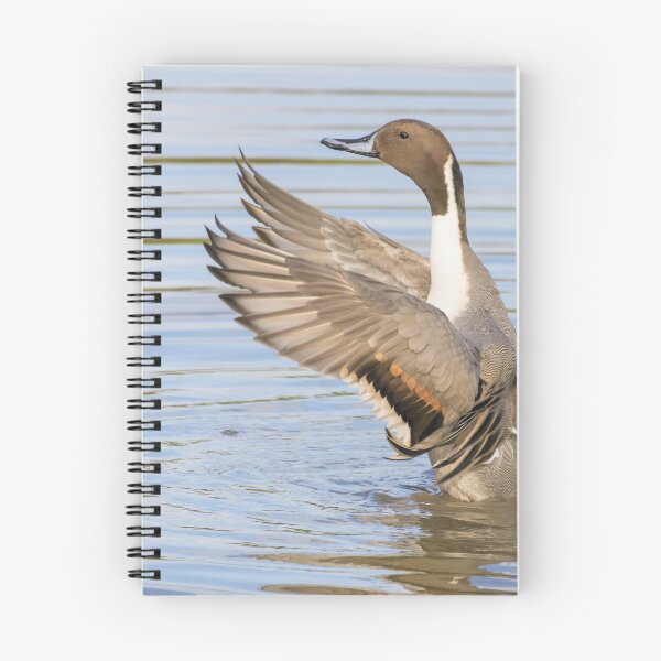 Item preview, Pintail designed and sold by LaurenTucker.