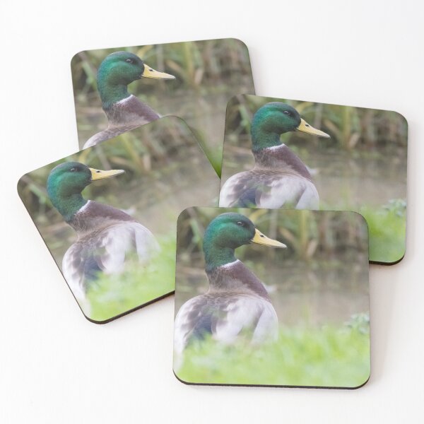 Aperçu de l'œuvre Mallard créée et vendue par LaurenTucker.