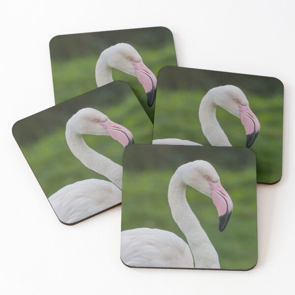 Item preview, Greater Flamingo designed and sold by LaurenTucker.