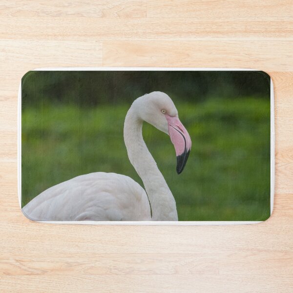Item preview, Greater Flamingo designed and sold by LaurenTucker.
