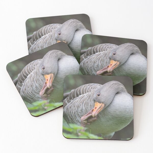 Item preview, Greylag Goose designed and sold by LaurenTucker.